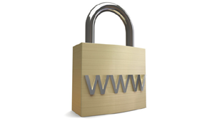 Web Security